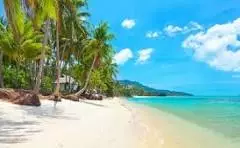 هتل های سامویی